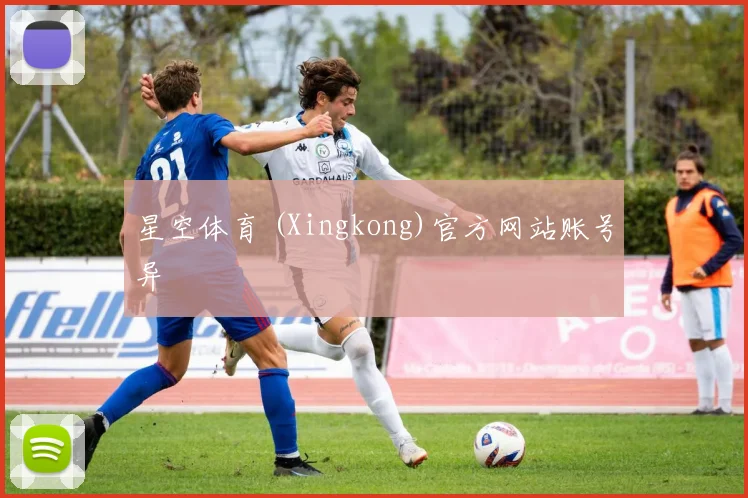 星空体育 (Xingkong)官方网站账号异