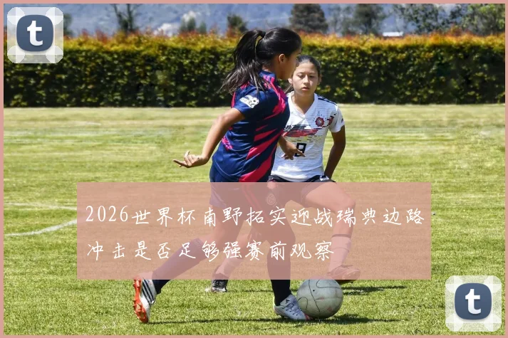 2026世界杯南野拓实迎战瑞典边路冲击是否足够强赛前观察