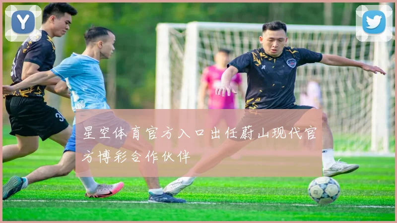 星空体育官方入口出任蔚山现代官方博彩合作伙伴